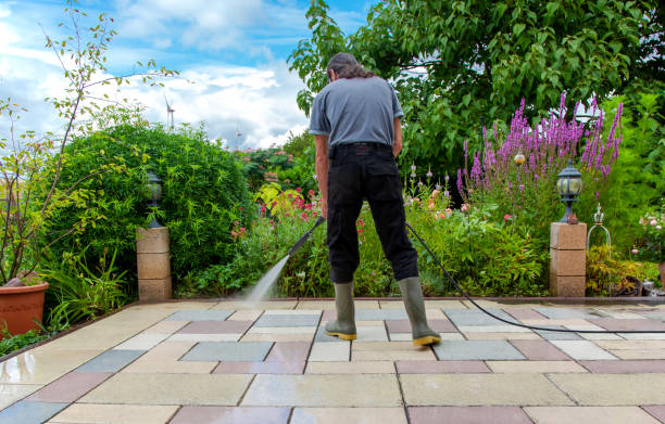 Animal Enclosure Cleaning in Gordon, PA
